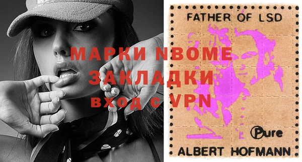 индика Алексин