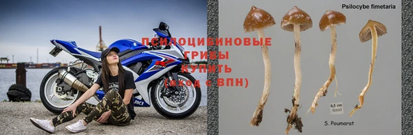 ешки Алексеевка