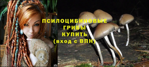 ешки Алексеевка