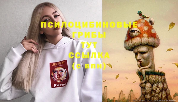 индика Алексин