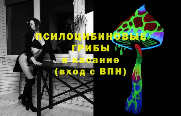 индика Алексин