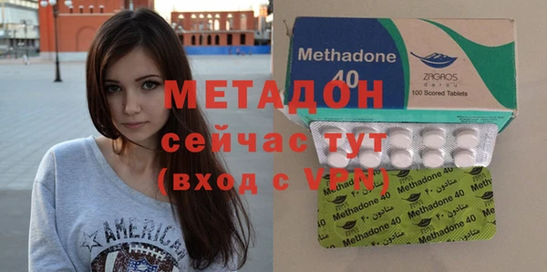 индика Алексин